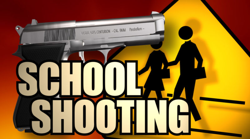 School shot. Stop School shooting. School shooting листовка. How to stop School shooting.